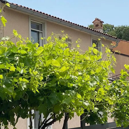 Farfalle Di Valle *