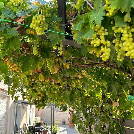 Farfalle Di Valle
